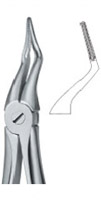 Tooth Ext Forceps